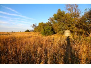 Tract 1 property in Garfield County, OK - LAND AUCTION - 160+/- ACRES OFFERED IN 2 TRACTS IN GARFIELD COUNTY, OKLAHOMA